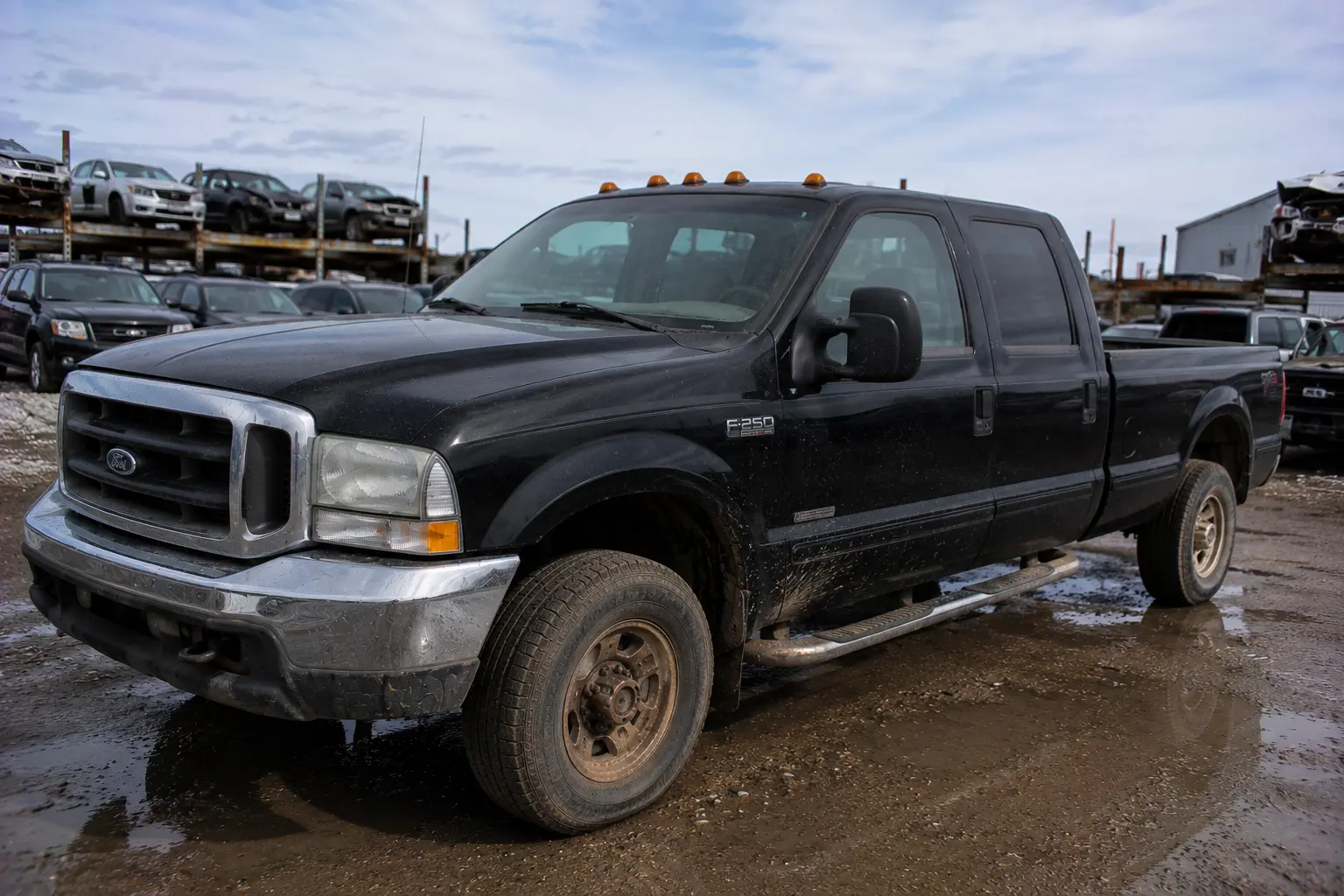 Recently purchased Irricana truck by Alberta Car Buyers